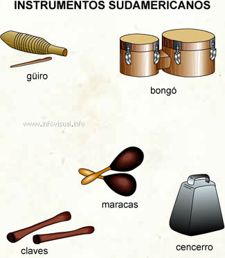Instrumentos sudamericanos (Diccionario visual)